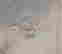item-136153781=4