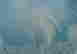 item-136153784=7