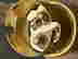 item-136153818=5