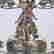 item-136153833=5
