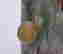 item-136153839=6