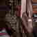 item-136153981=10