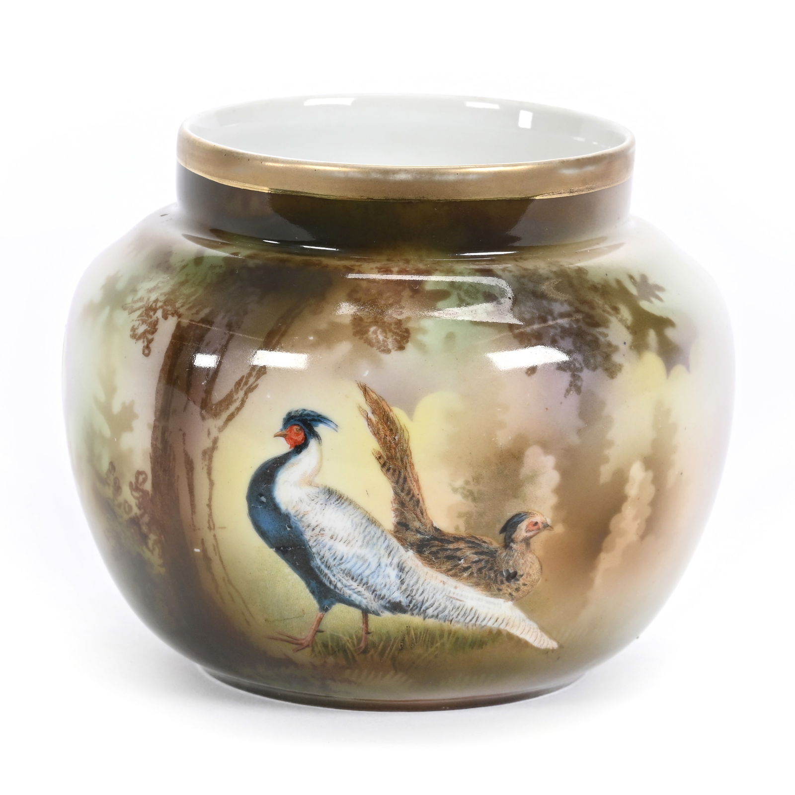 Vase Marked R.S. Poland, Chinese Pheasant Decor (1 of 3)
