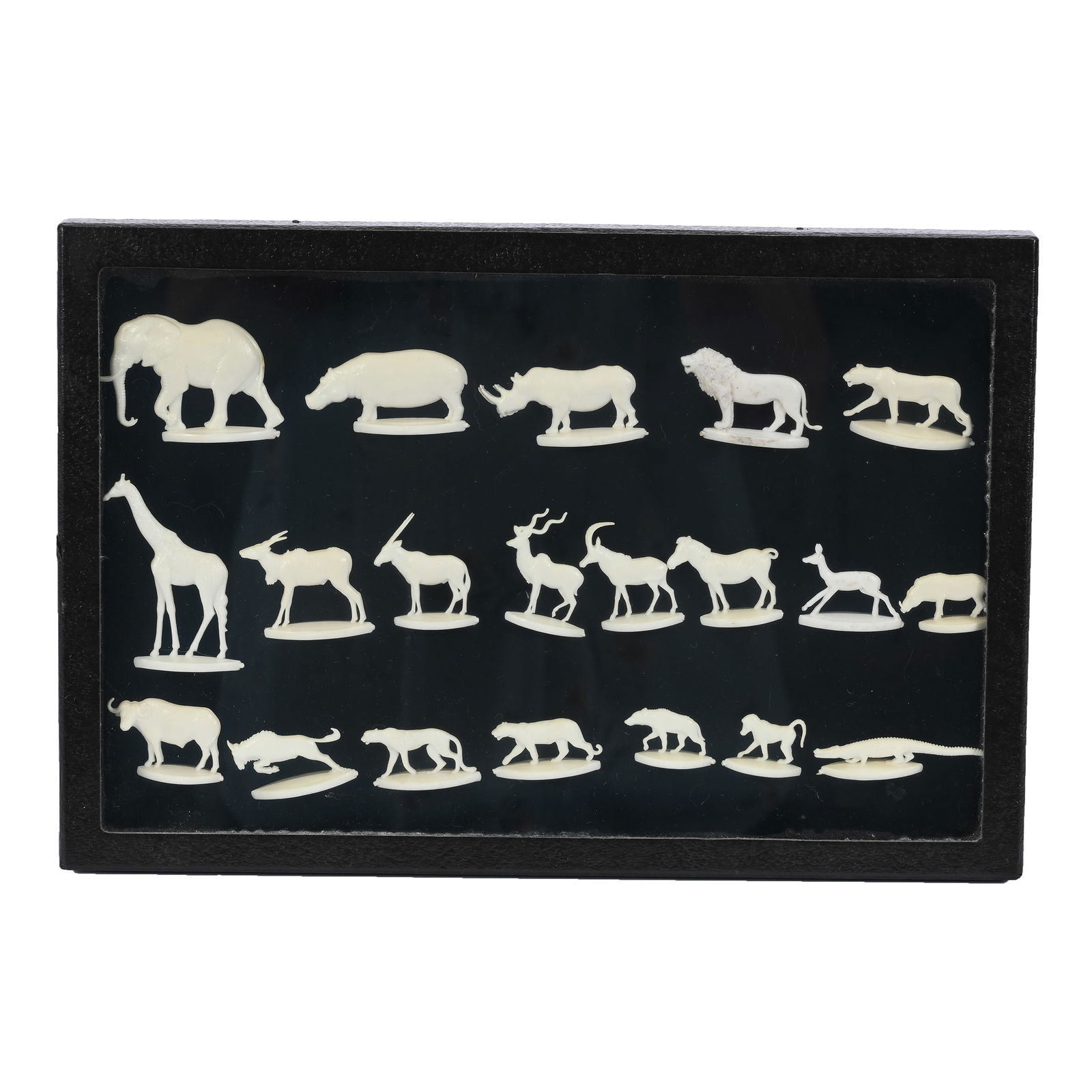 1961 Coca Cola African Animals In Display Case (1 of 4)