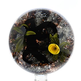 Paperweight, Studio, Signed Trabucco, Dated 1990