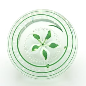 Paperweight, Studio, Signed