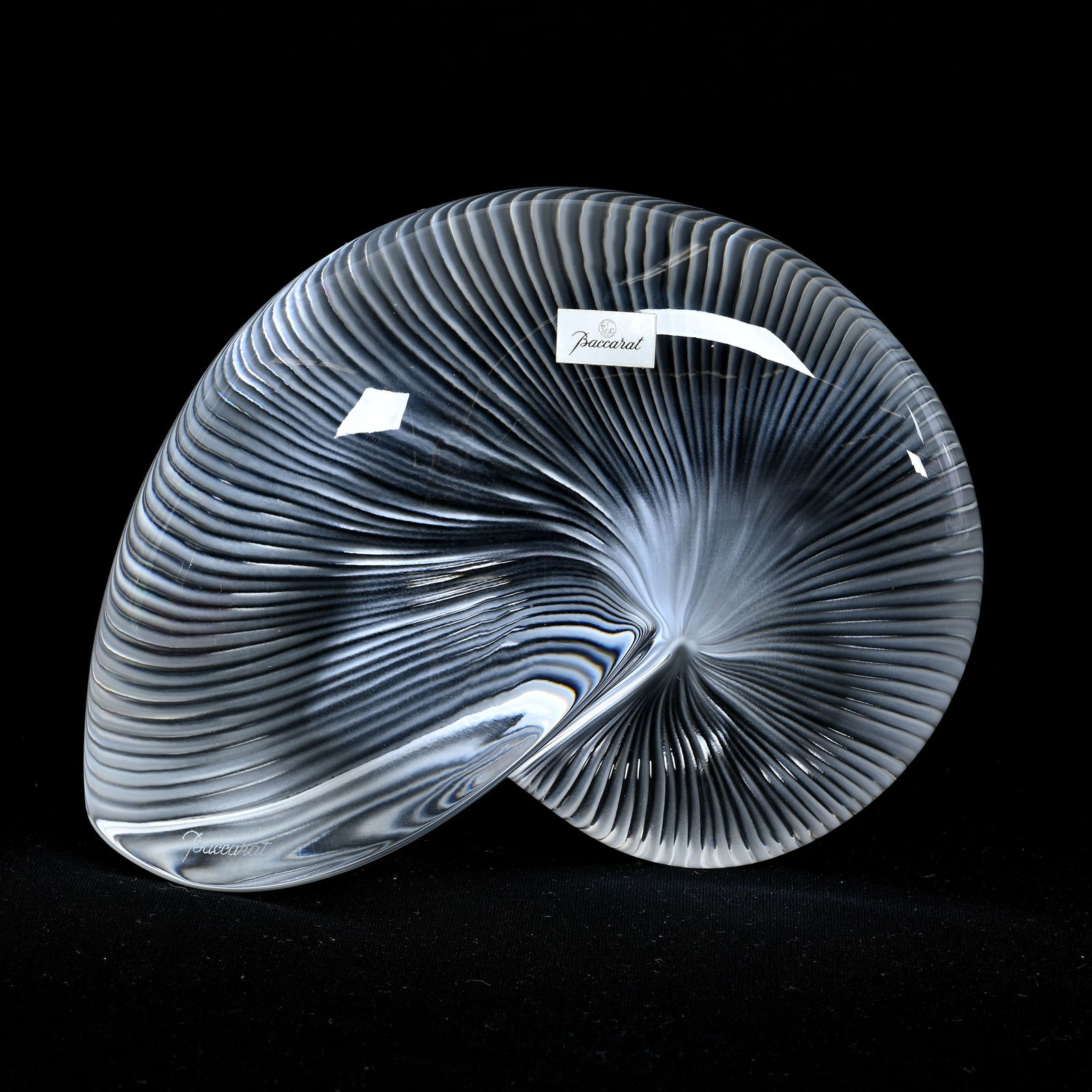 Nautilus Shell Sculpture Signed Baccarat (1 of 4)