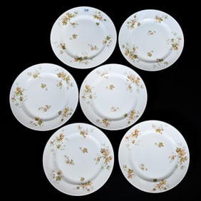(6) Dinner Plates Marked Haviland Limoges