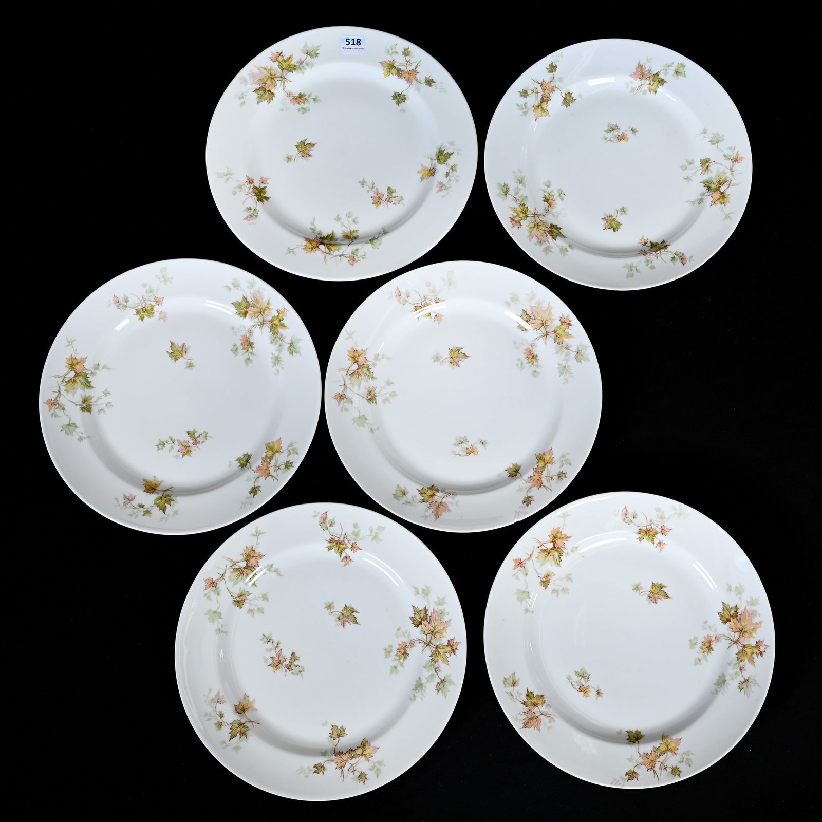 (6) Dinner Plates Marked Haviland Limoges (1 of 4)