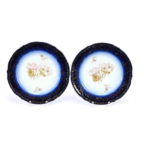 Pair Plates Marked Victoria Austria