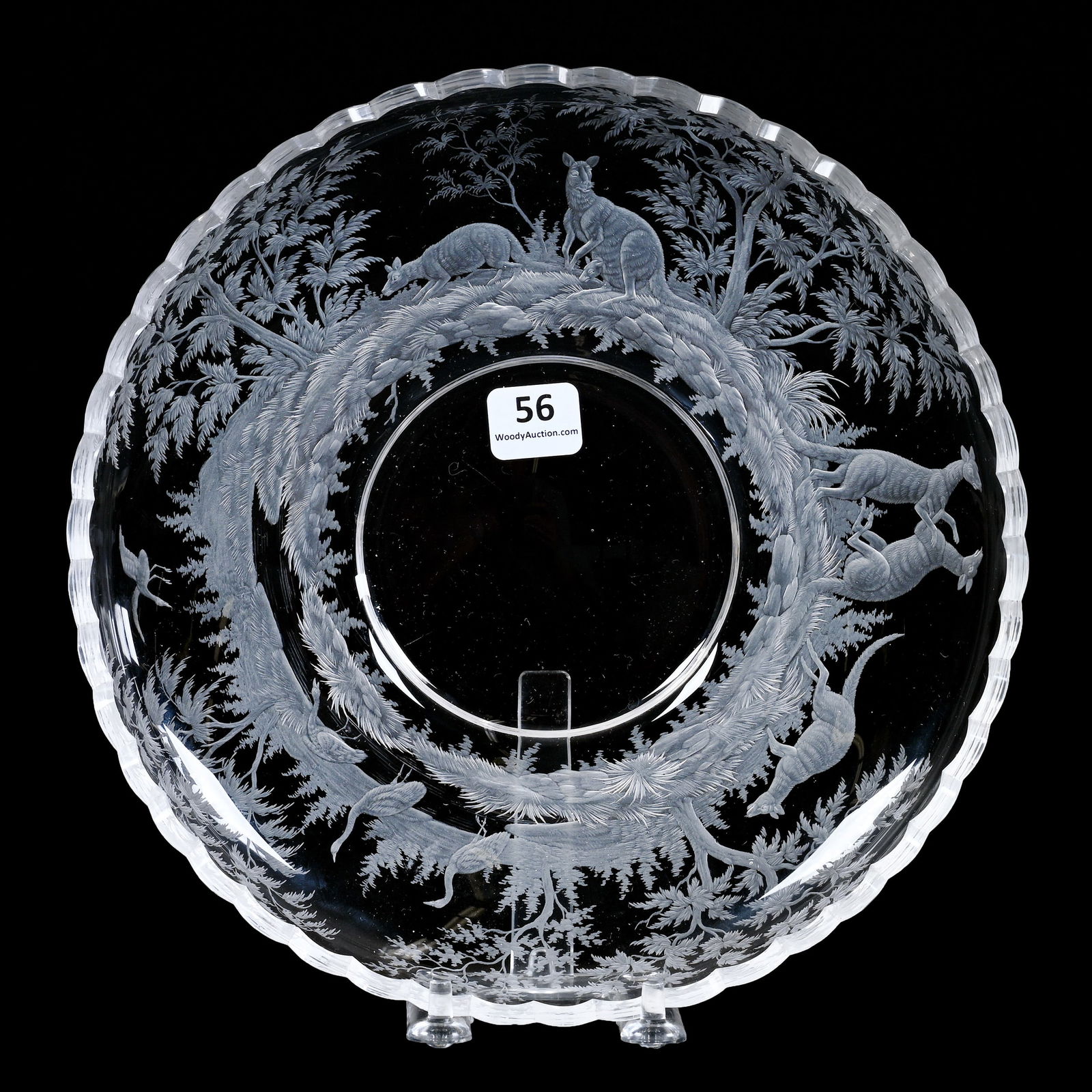 Plate, BPCG, Rare Scene With Finely Engraved Decor Of Five Kangaroos (1 of 2)