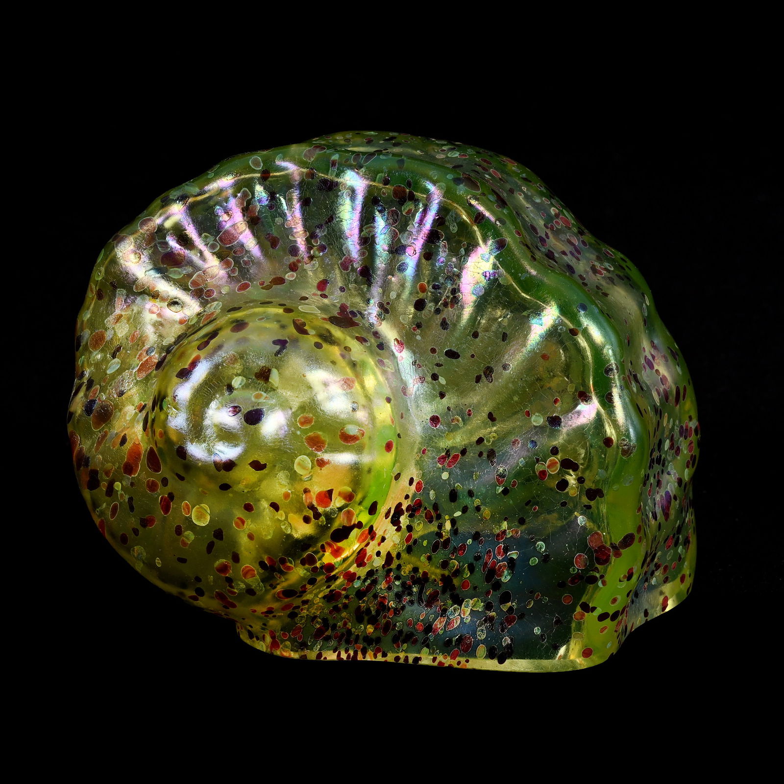 Nautilus Shell Signed Orient & Flume #N75 Art Glass, Dated 1984, Solid Vaseline (1 of 5)