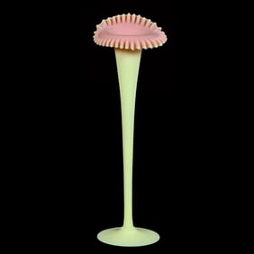 Jack In Pulpit Vase, Burmese Art Glass By Mt. Washington, Great Form!
