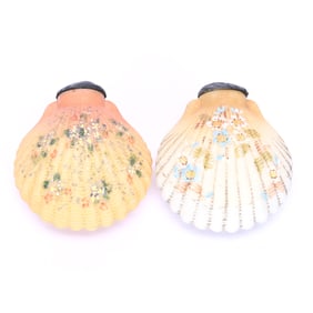 Pair Salt And Pepper Shakers, Unmarked Mt. Washington, Fig Shape