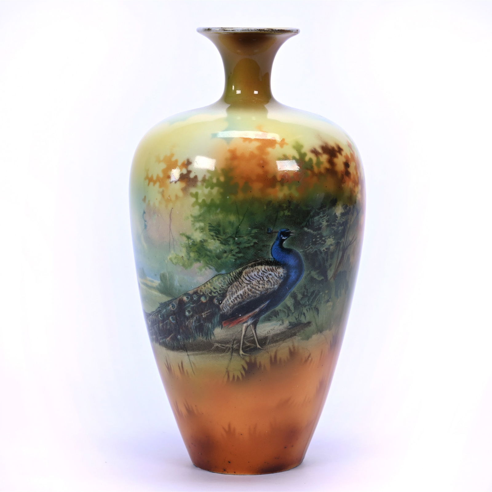 Vase, Unmarked R.S. Prussia, Peacock Scenic Decor (1 of 3)