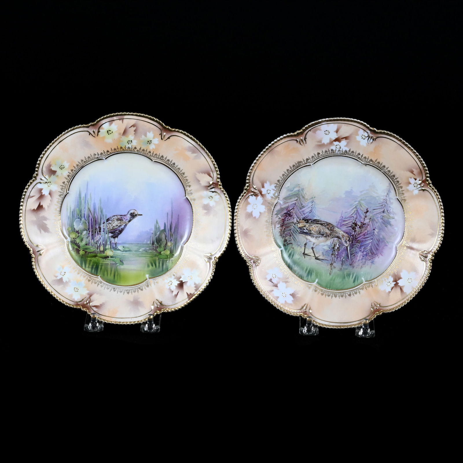 (2) Plates Marked R.S. Prussia, Game Bird Scenic Decors, Satin Finish (1 of 2)