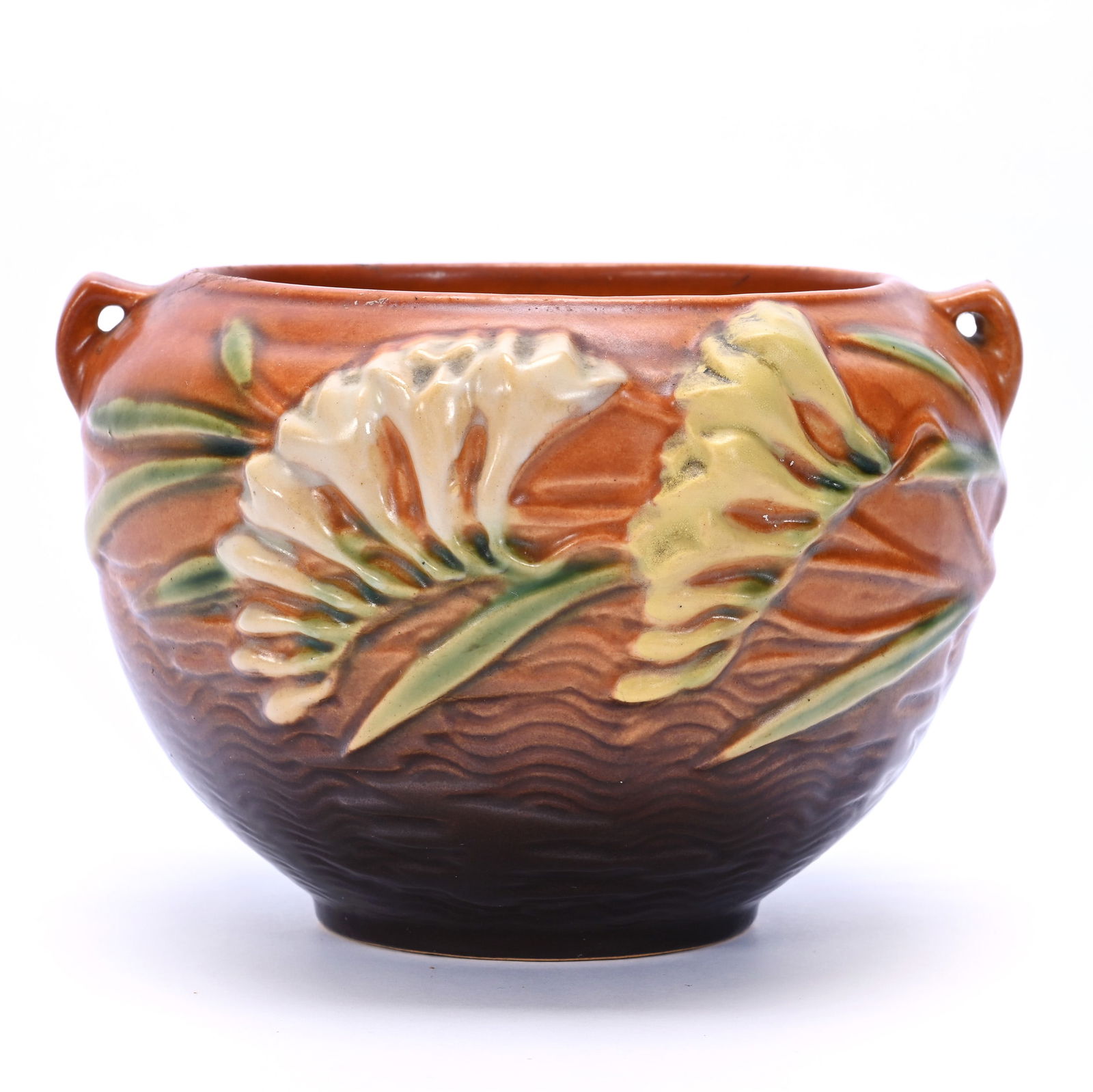 Two Handled Vase, Roseville Art Pottery #669-4, Freesia Pattern (1 of 3)