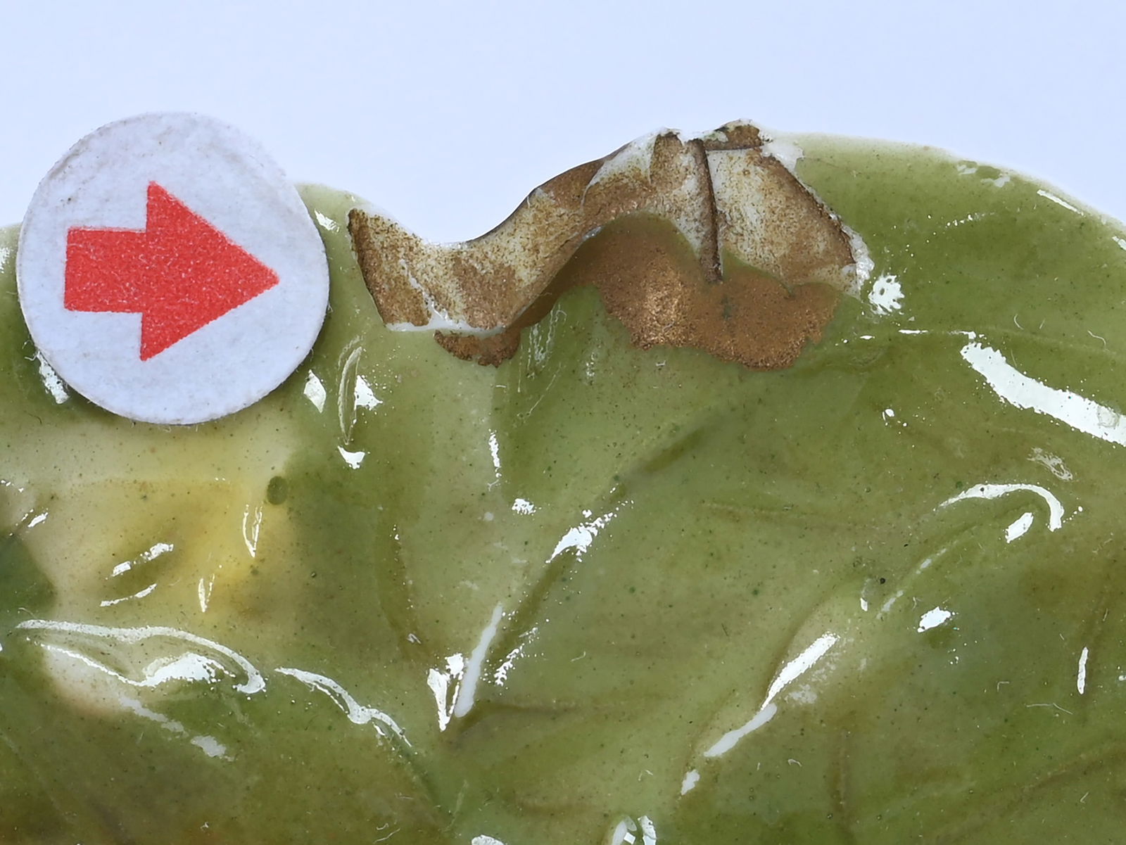 (7) Piece Nut Set, Unmarked Royal Bayreuth - 3