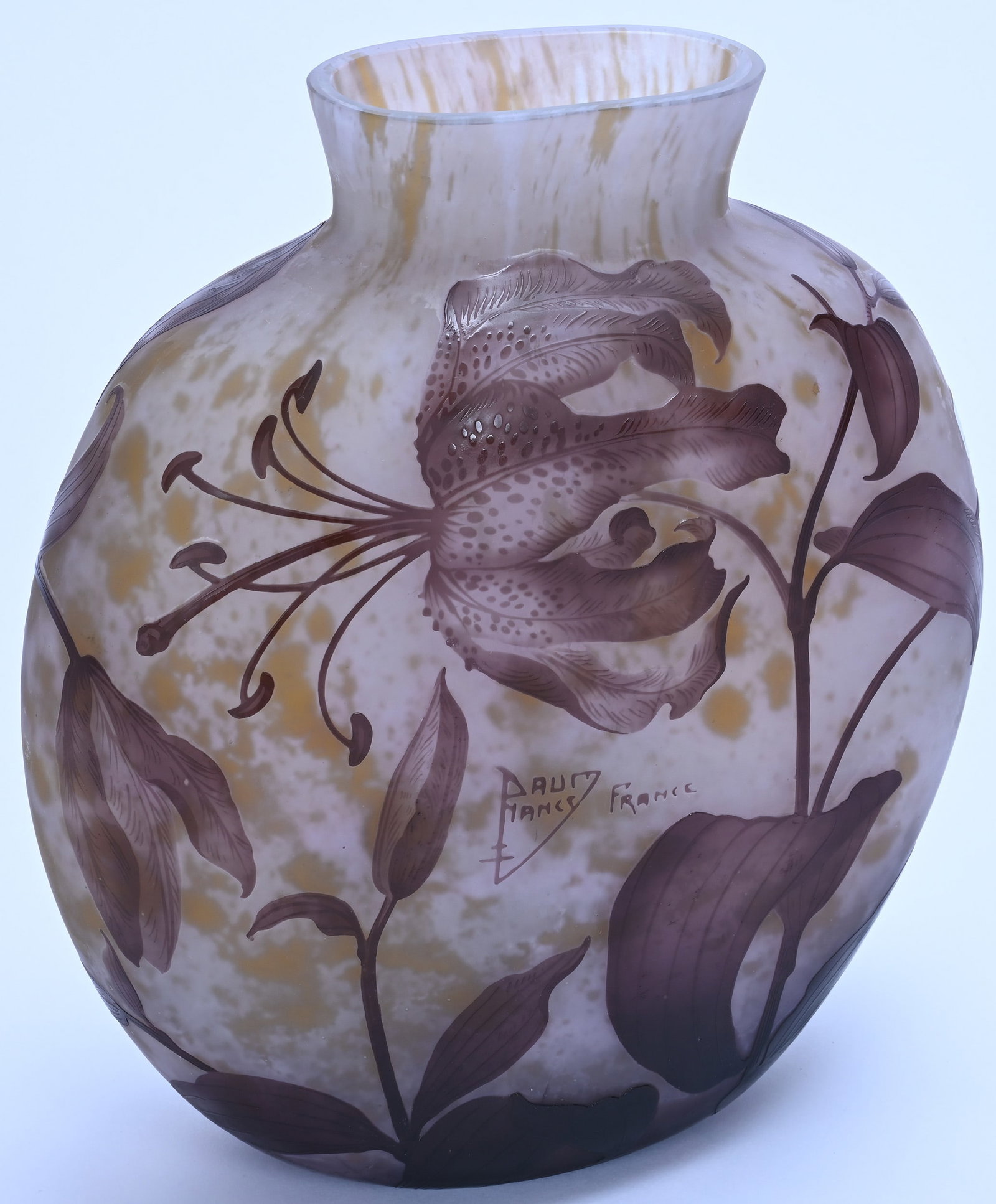 Vase, French Cameo Art Glass, Signed Daum Nancy - 2