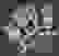 item-44442328=7