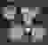 item-44442663=3