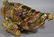 15" X 29" EUROPEAN MAJOLICA PEDESTAL CENTERPIECE - 3