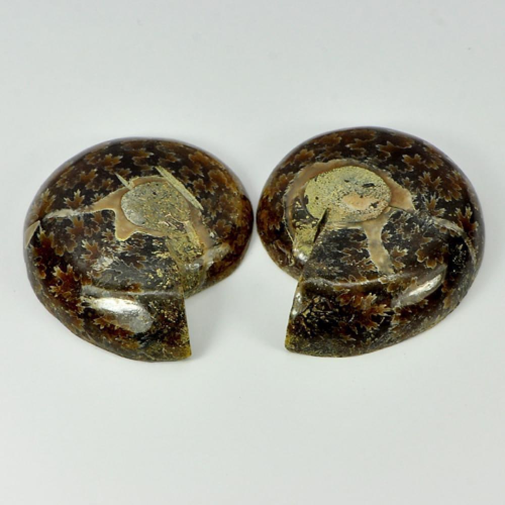 Yellow Brown Ammonite Fossil 115.55 Ct. Matching 37 x 33 Mm. Natural Unheated From Madagascar: Product ID: 808100049 / Product Name: Natural Fossil / Weight: 115.55 CT. / Size: 37 x 33 x 8 MM. / Shape: See As On Picture / Color: Multi-Color / Clarity:Opaque / Luster: None / Gems Origin: Madagas