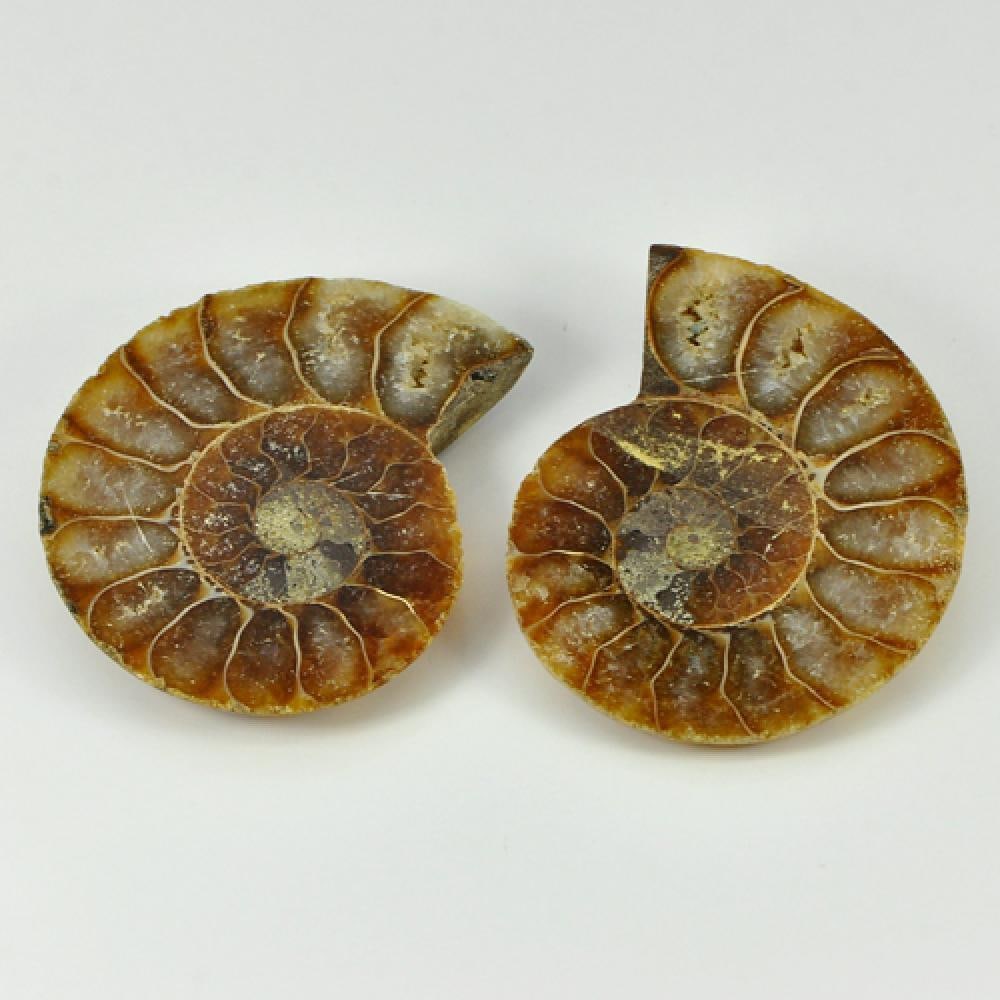 Natural Yellow Brown Ammonite Fossil 80.66 Ct. Unheated From Madagascar: Product ID: 808100042 Product Name: Natural Fossil Weight: 80.66 CT. Size: 37 x 31 x 5.6 MM. Shape: See As On Picture Color: Multi-Color Clarity:Opaque Luster: None Gems Origin: Madagascar Treatment: