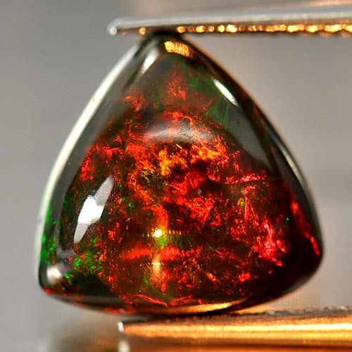 Multi-Color Play Of Colour Opal 3.65 Ct. Trilliant Cabochon Shape 11.9 x 11.7 x 6.4 Mm. Natural (1 of 3)