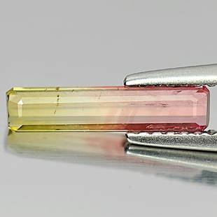 Natural Bi Color Tourmaline 0.87 Ct. Octagon Shape 12.8 x 3 x 2.2 Mm. Gemstone Unheated: Product ID: 807241098 Product Name: Natural Tourmaline Weight: 0.87 CT. Size: 12.8 x 3 x 2.2 MM. Shape: Octagon Color: Bi Color Clarity:SI Luster: Good Gems Origin: Nigeria Treatment: Unheated Crystal