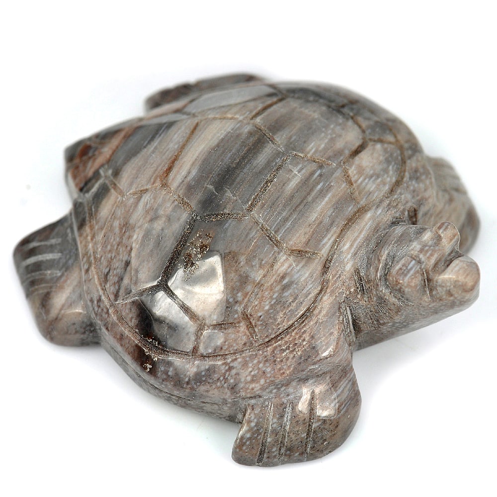 Natural Brown Petrified Wood 360.61 Ct. Turtle Carving Size 63 x 50 Mm. Gemstone Unheated From (1 of 3)