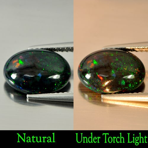 Natural Fire Red Black Opal 1.91 Ct. Play Of Color Rainbow Oval Cabochon Shape 11.6 x 8.2 Mm. (1 of 3)