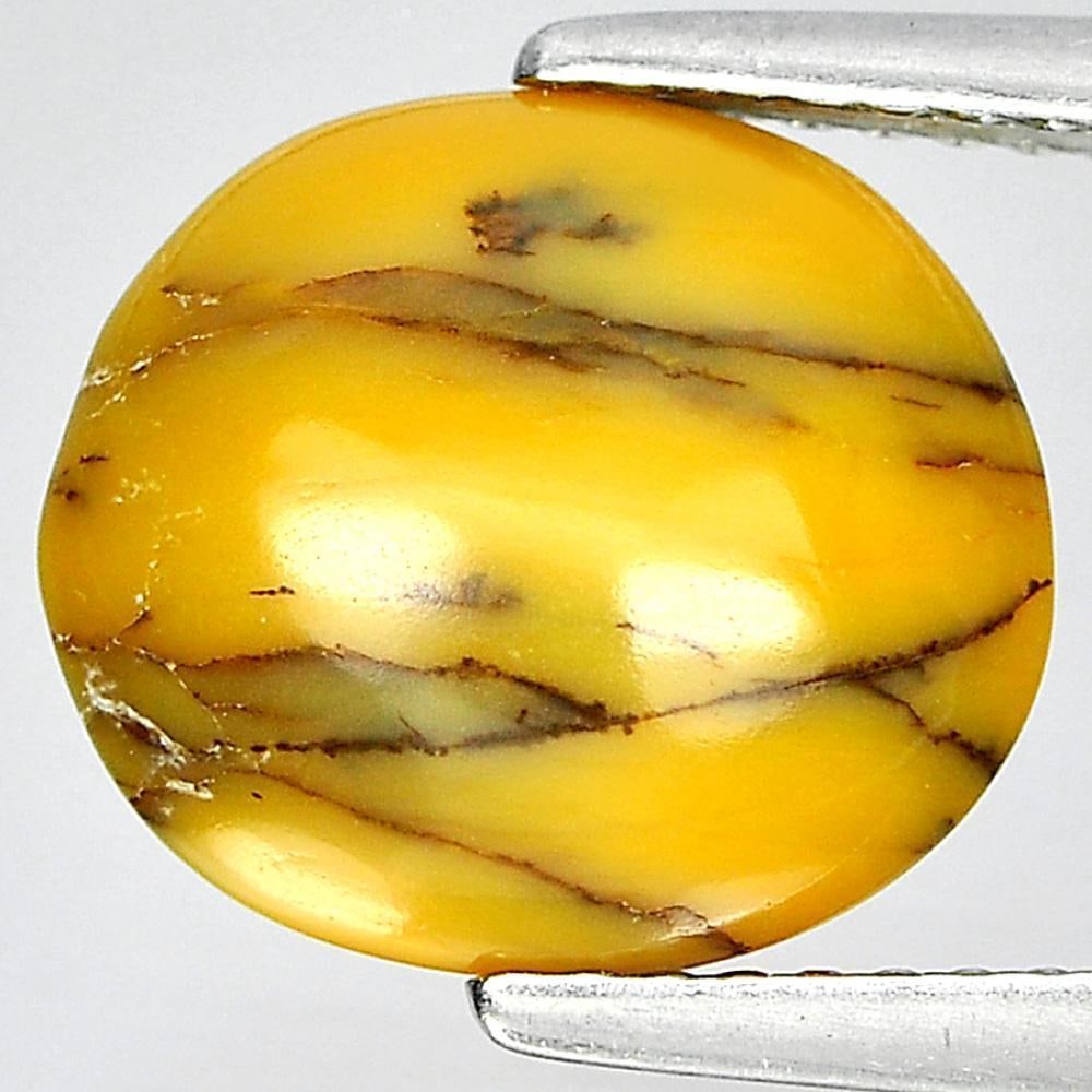 Natural Yellow Skin Opal 2.66 Ct. Oval Cabochon Shape 11.5 x 10 Mm. Gemstone From Ethiopia: Product ID: 818727934 Product Name: Natural Opal Weight: 2.66 CT. Size: 11.5 x 10 x 4.3 MM. Shape: Oval Cabochon Color: Yellow Clarity:Opaque Luster: Good Gems Origin: Ethiopia Treatment: Unheated Cry