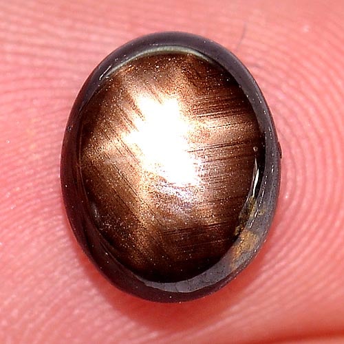 Natural Black Star Sapphire 6 Rays 2.52 Ct. Oval Cabochon Shape 8.9 x 7.2 Mm Gemstone From Thailand: Product ID: 806135575 Product Name: Natural Star Sapphire Weight: 2.52 CT. Size: 8.9 x 7.2 x 3.4 MM. Shape: Oval Cabochon Color: Black Clarity:Opaque Luster: Good 6 Rays Star Gems Origin: Thailand Tre