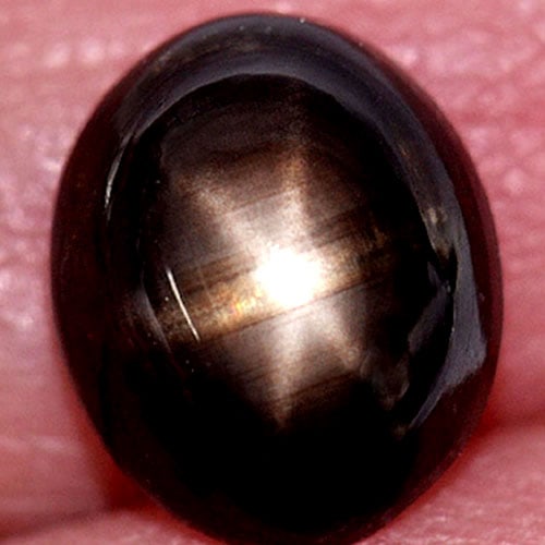 Natural Black Star Sapphire 3.47 Ct. Oval Cabochon 9.3 x 7.7 Mm. Gemstone From Thailand (1 of 3)