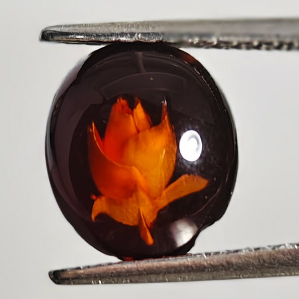 Natural Amber 0.58 Ct. Flower Carving In Oval Cabochon Shape 9.2 x 8 Mm Gemstone From Poland: Product ID: 819090979 Product Name: Natural Amber Weight: 0.58 CT. Size: 9.2 x 8 x 2.3 MM. Shape: Oval Cabochon Color: Brown Yellow Clarity:Semi - Transparent Luster: Good Gems Origin: Poland Treatmen