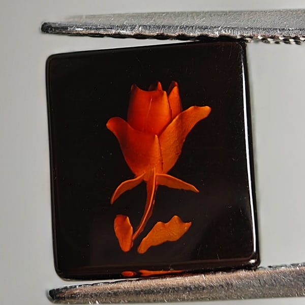 Flower Carving In Natural Brown Yellow Amber 0.77 Ct Baguette Shape 9.2 x 8.3 Mm Gemstone From: Product ID: 819090981 Product Name: Natural Amber Weight: 0.77 CT. Size: 9.2 x 8.3 x 2.1 MM. Shape: Baguette Color: Brown Yellow Clarity:Semi - Transparent Luster: Good Gems Origin: Poland Treatment: 