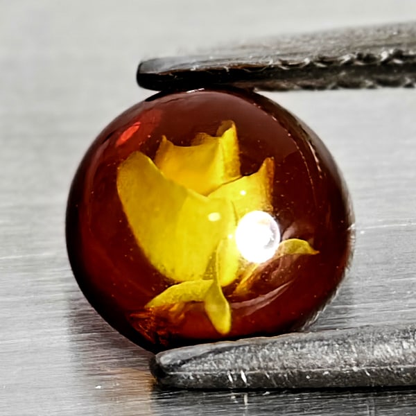 Natural Amber 0.31 Ct. Flower Carving In Round Cabochon 6.6 Mm Gemstone From Poland: Product ID: 819091081 Product Name: Natural Amber Weight: 0.31 CT. Size: 6.6 x 6.6 x 2.7 MM. Shape: Round Cabochon Color: Brown Yellow Clarity:Semi - Transparent Luster: Good Gems Origin: Poland Treat