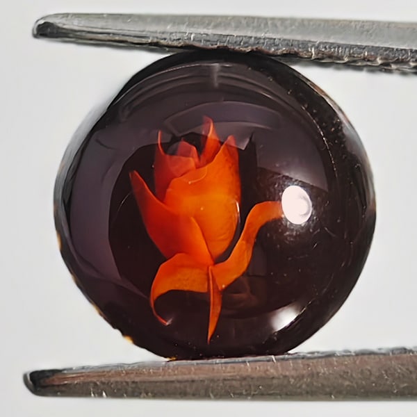 Natural Amber 0.48 Ct. Flower Carving In Round Cabochon Shape 8.1 Mm Gemstone From Poland: Product ID: 819090973 Product Name: Natural Amber Weight: 0.48 CT. Size: 8.1 x 8.1 x 2.7 MM. Shape: Round Cabochon Color: Brown Yellow Clarity:Semi - Transparent Luster: Good Gems Origin: Poland Treat