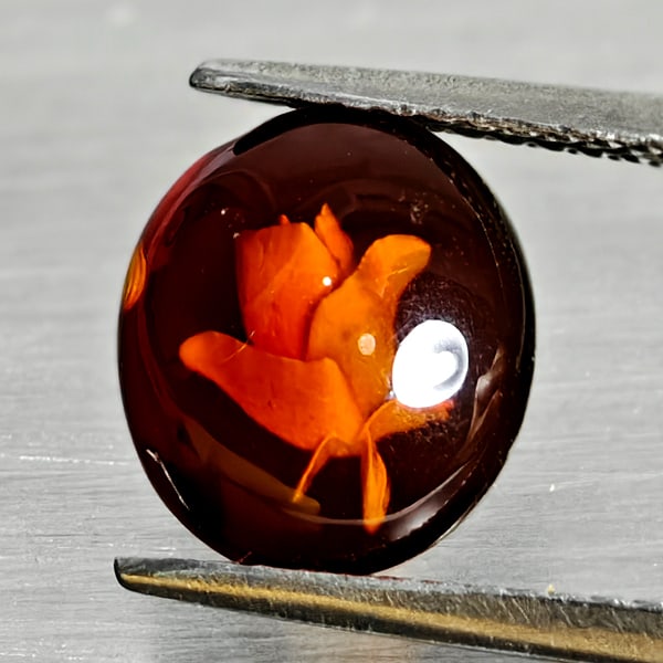 Natural Amber 0.62 Ct. Flower Carving In Oval Cabochon Shape 9.7 x 8.7 Mm Gemstone From Poland: Product ID: 819091051 Product Name: Natural Amber Weight: 0.62 CT. Size: 9.7 x 8.7 x 2.7 MM. Shape: Oval Cabochon Color: Brown Yellow Clarity:Semi - Transparent Luster: Good Gems Origin: Poland Treatm