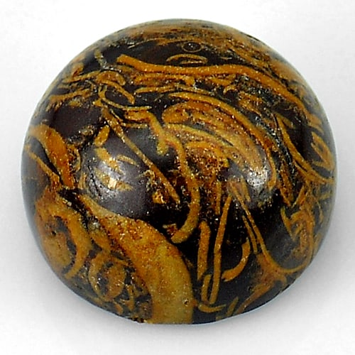 Natural Elephant Skin Jasper 18.24 Ct. Round Cabochon Shape 15.3 Mm Gemstone from Numibia (1 of 3)