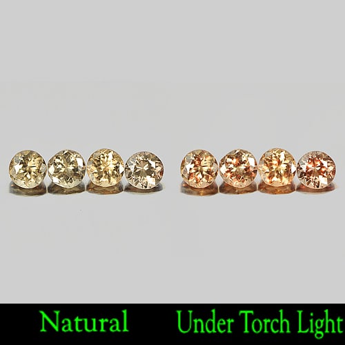 Natural Champagne Color Change Garnet 1.79 Ct. 4 Pcs. Round Shape 4.2 Mm. Gemstone from Nigeria: Product ID: 802926978 Product Name: Natural Color Change Garnet Weight: 1.79 CT. Size: 4.2 x 4.2 x 2.9 MM. Shape: Round Color: Champagne Clarity:VSI Luster: Good Gems Origin: Nigeria Treatment: Unheat