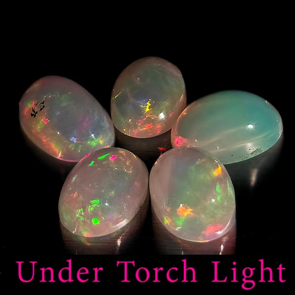 Natural Multi Color Opal 1.46 Ct. 5 Pcs Oval Cabochon Shape 6.1 x 4.2 Mm Gemstones from Ethiopia: Product ID: 818728103 Product Name: Natural Opal Weight: 1.46 CT. Size: 6.1 x 4.2 x 2.9 MM. Shape: Oval Cabochon Color: Multi-Color Clarity:Semi - Transparent Luster: Good Gems Origin: Ethiopia Treatm