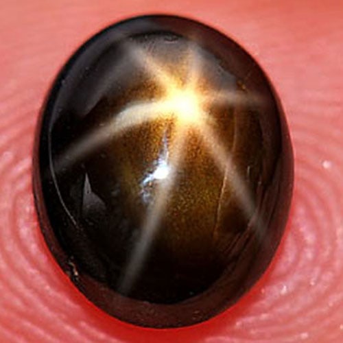 Certified Natural Golden Star Sapphire 6 Ray 1.87 Ct. Oval Cabochon 5.99 x 7.44 Mm. Gemstone From (1 of 4)