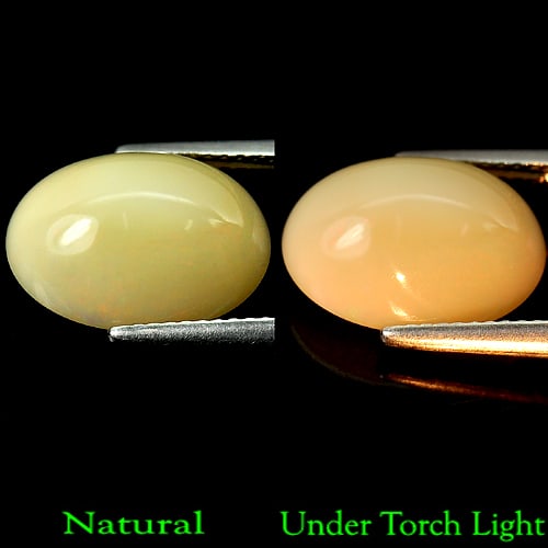 Natural Multi Color Opal 4.95 Ct. Oval Cabochon Shape 14.2 x 10.2 Mm Gemstone From Ethiopia: Product ID: 818708483 Product Name: Natural Opal Weight: 4.95 CT. Size: 14.2 x 10.2 x 7 MM. Shape: Oval Cabochon Color: Multi Color Clarity:Semi - Transparent Luster: Good Gems Origin: Ethiopia Treatm