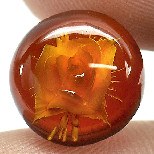 Natural Amber 1.71 Ct. Flower Carving Round Cabochon Shape 11.7 Mm Gemstone From Poland (1 of 3)
