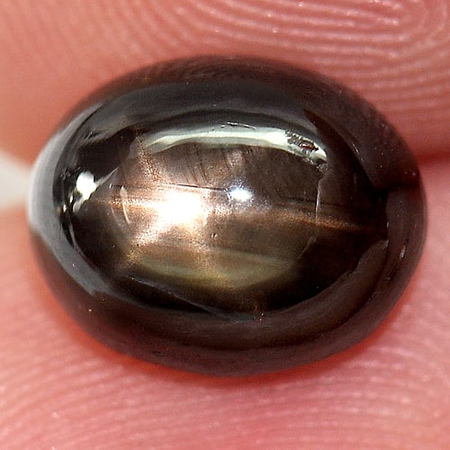 Natural Black Star Sapphire 5.37 Ct. Oval Cabochon Shape 10 x 8 Mm Gemstone from Thailand (1 of 3)