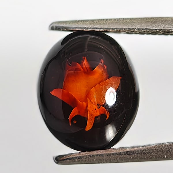 Natural Amber 0.52 Ct. Flower Carving In Oval Cabochon Shape 8.7 x 7.5 Mm. Gemstone From Poland: Product ID: 819090969 Product Name: Natural Amber Weight: 0.52 CT. Size: 8.7 x 7.5 x 3 MM. Shape: Oval Cabochon Color: Brown Yellow Clarity:Semi - Transparent Luster: Good Gems Origin: Poland Treatmen