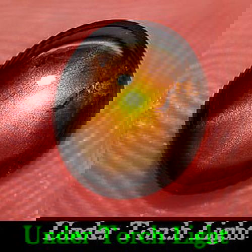 Certified Natural Golden Star Sapphire 1.53 Ct. Oval Cabochon Shape 5.92 x 6.88 Mm. Gemstone From: Product ID: 806149967 Product Name: Natural Star Sapphire Weight: 1.53 CT. Size: 5.92 x 6.88 x 3.10 MM. Shape: Oval Cabochon Color: Yellow Clarity:Opaque Luster: Good 6 Rays Star Gems Origin: Thailand