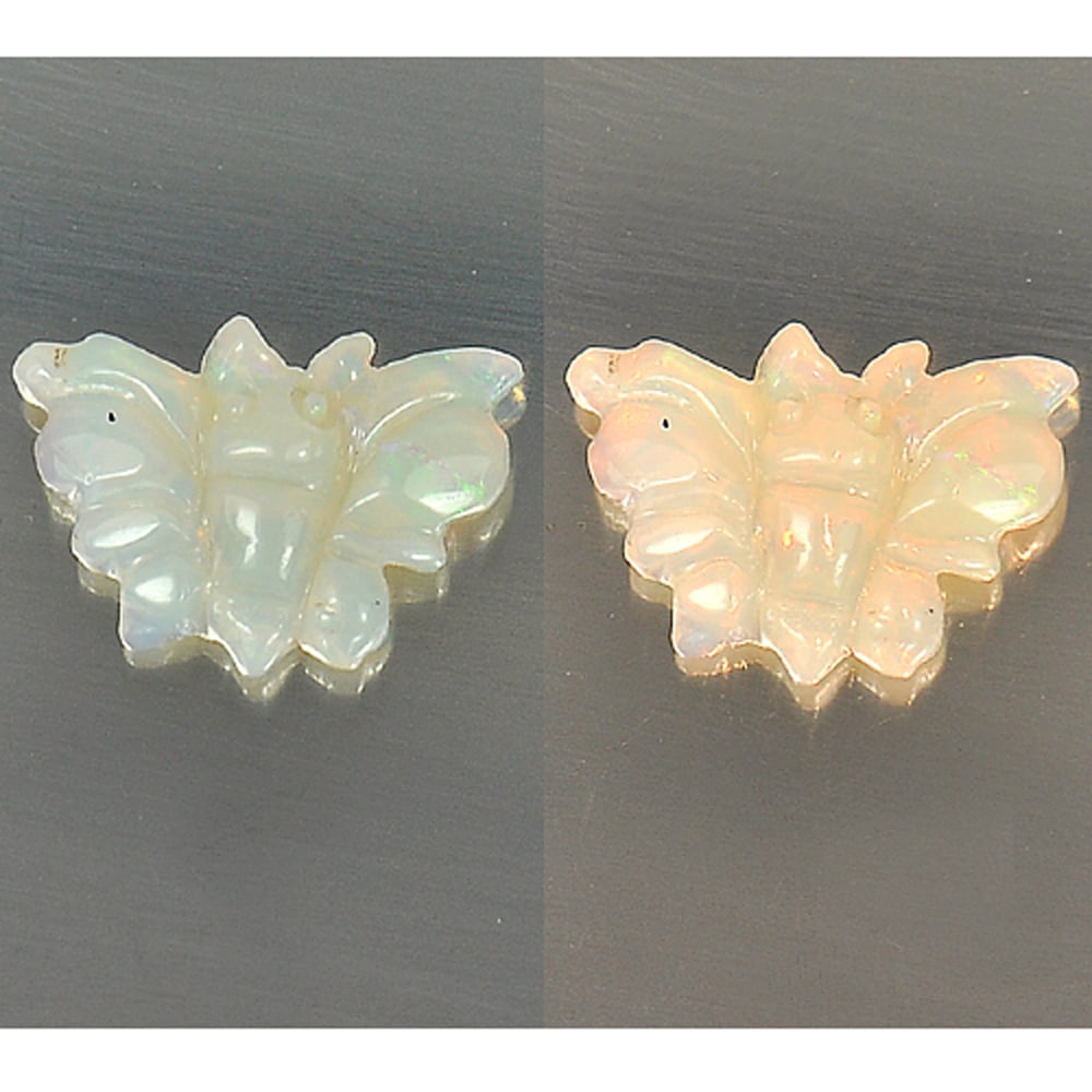Natural Multi Color Opal 2.65 Ct. Butterfly Carving Size 15.1 x 10.8 Mm. Unheated Gemstone From (1 of 3)